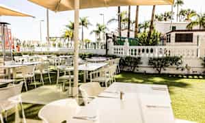 Ett utomhusområde med uppställda bord och stolar på en gräsyta, omgiven av palmer och buskar. (AI-genererad text)