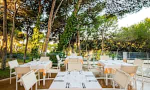 Ett utomhusområde med bord och stolar under höga träd, dukat för middag. (AI-genererad text)