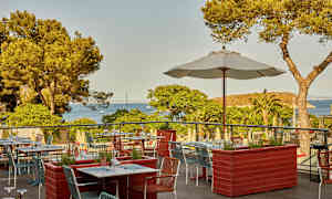 En terrass restaurang med utsikt över havet och tallskog. (AI-genererad text)