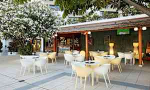 En utomhusservering med moderna stolar och bord under ett tak. En stor blommande buske står bredvid. (AI-genererad text)