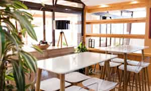 Ljust och modernt café med bord och stolar av trä. Växt i förgrunden. (AI-genererad text)