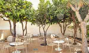 Utemöbler under träd i en utomhusmiljö. (AI-genererad text)