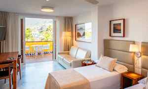 Enrumslägenhet superior