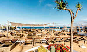 Utomhusområde med solstolar och parasoller nära havet. Kaktusar och blommor syns i förgrunden. (AI-genererad text)