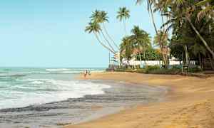 En sandstrand med palmer i bakgrunden och havet som sköljer in över stranden. (AI-genererad text)