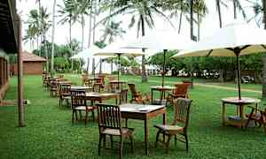 Uteservering med bord och stolar på gräsmatta, omgiven av palmträd. (AI-genererad text)
