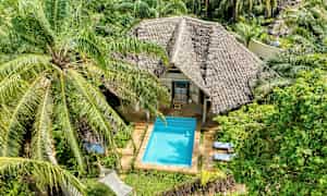 En bungalow med halmtak omgiven av grönska och en pool framför byggnaden. (AI-genererad text)