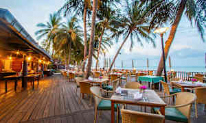 En restaurang med sittplatser utomhus på en träaltan omgiven av palmer, med utsikt över havet. (AI-genererad text)