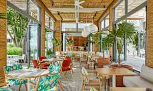 Ljust och luftigt café med träinteriör, färgglada stolar och dekorativa växter. (AI-genererad text)