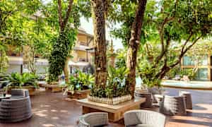 En hotellträdgård med utemöbler och grönska, träd och en pool i bakgrunden. (AI-genererad text)
