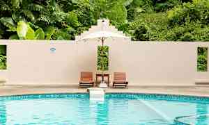 En pool med två solstolar och ett parasoll framför en vägg med frodig grönska i bakgrunden. (AI-genererad text)