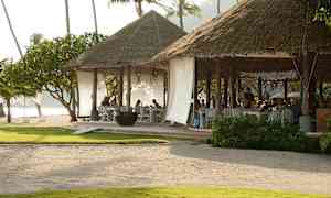 En strandrestaurang med halmtak och öppet sittplatser, omgiven av grönska och palmträd. (AI-genererad text)