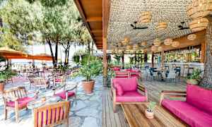 Utomhusrestaurang med träbord och stolar, rosa dynor, omgivna av träd och parasoller. (AI-genererad text)