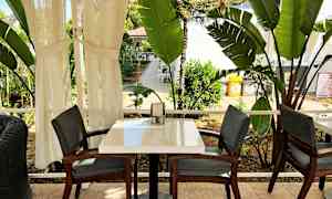 Ett bord med två stolar utomhus, omgivna av stora gröna växter. (AI-genererad text)