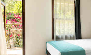 Ett ljust rum med en säng och öppet fönster som vetter mot en grönskande balkong med blommor. (AI-genererad text)