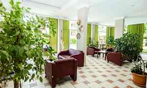 Ett inrett rum med skinnfåtöljer, gröna växter i krukor och grönskande gardiner som släpper in ljus från stora fönster. (AI-genererad text)