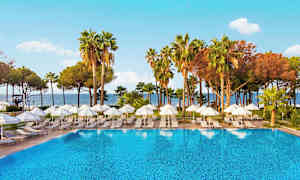 En utomhuspool med solstolar och parasoller omgiven av palmer och träd. (AI-genererad text)