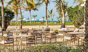 Utomhusplats med bord och stolar omgivna av palmer nära havet. (AI-genererad text)