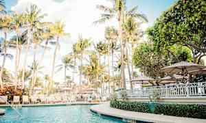 En utomhuspool omgiven av palmer och parasoller under blå himmel. (AI-genererad text)