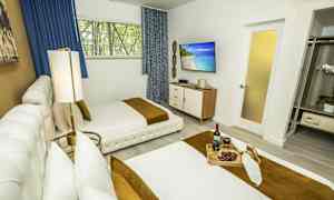 Ett ljust sovrum med två sängar, en TV på väggen och en bricka med vin och druvor. (AI-genererad text)