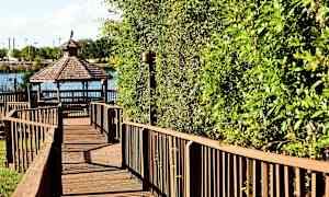 Träbelagd gångväg som leder till en paviljong vid en sjö, omgiven av gröna blad. (AI-genererad text)