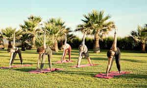 Personer som utför yoga på gräsmatta med palmer i bakgrunden. (AI-genererad text)