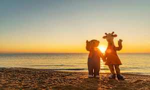 Två maskotar står på en strand framför en solnedgång, vänd mot kameran. (AI-genererad text)
