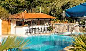 En pool med en bar under ett tak med orange tegelpannor. (AI-genererad text)