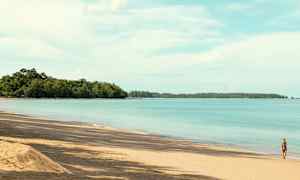 Strand med gyllene sand, lugnt blått hav och grönskande skog i bakgrunden. En person går längs vattenbrynet. (AI-genererad text)