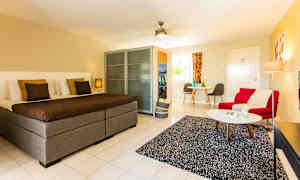 Studio Deluxe med balkong eller terrass