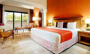 Juniorsvit mot trädgården