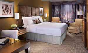 Dubbelrum Park Avenue