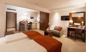 Enrumslägenhet/Studio