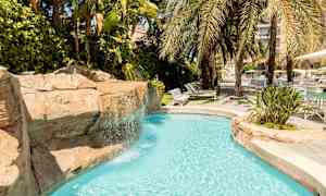 En pool med klart vatten omgiven av palmer och gröna växter. (AI-genererad text)