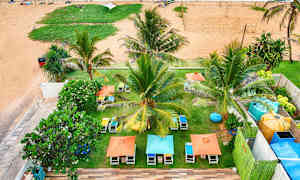 En strand med palmer, solstolar och parasoll. En poolområde syns i förgrunden. (AI-genererad text)