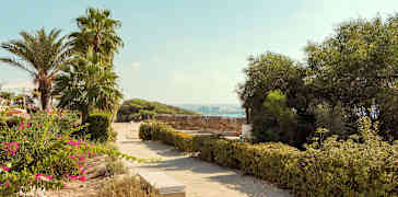 En stenlagd gångväg omgiven av grönska, med palmer och blommande buskar. (AI-genererad text)