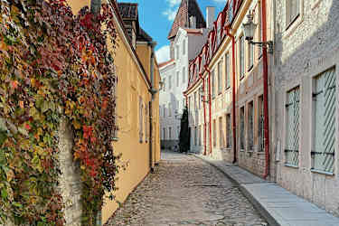 Gränd i gamla stan i Tallin