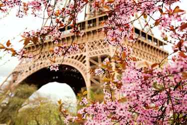 Paris och eiffeltorent
