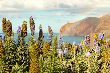 Madeira