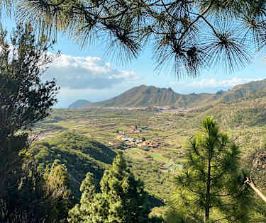 Genuina Teneriffa