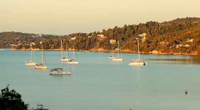 Flera segelbåtar i en vik med skogsklädda kullar och hus i bakgrunden. (AI-genererad text)