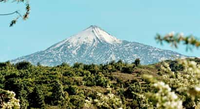 Snötäckt berg med grönska i förgrunden. (AI-genererad text)