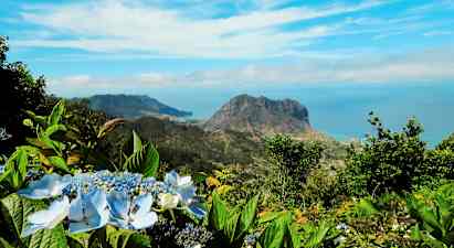 Vy över ett bergslandskap med blå himmel och blommor i förgrunden. (AI-genererad text)