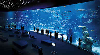 Människor står vid ett stort akvarium som visar olika fiskar och hajar. (AI-genererad text)