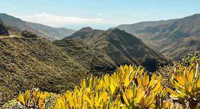 Utsikt över bergiga landskap med grön vegetation och buskar i förgrunden. (AI-genererad text)