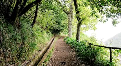 En stig omgiven av grönskande träd och vegetation, med ett smalt vattendike bredvid. (AI-genererad text)