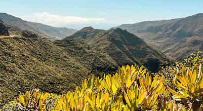 Utsikt över bergiga landskap med grön vegetation och buskar i förgrunden. (AI-genererad text)