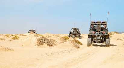 Tre fyrhjulingar kör genom sanddyner i en öken. (AI-genererad text)