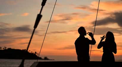 Silhuetter av två personer som håller glas vid en solnedgång med hav och en liten ö i bakgrunden. (AI-genererad text)