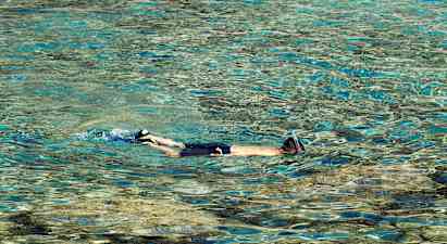 Person med snorkel simmar i klart vatten. (AI-genererad text)